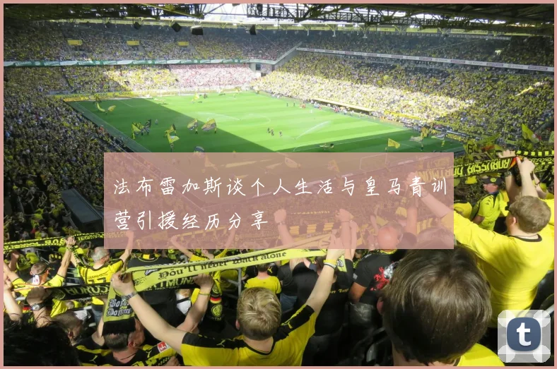 法布雷加斯谈个人生活与皇马青训营引援经历分享
