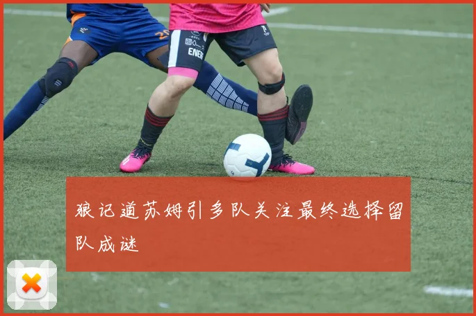 狼记道苏姆引多队关注最终选择留队成谜